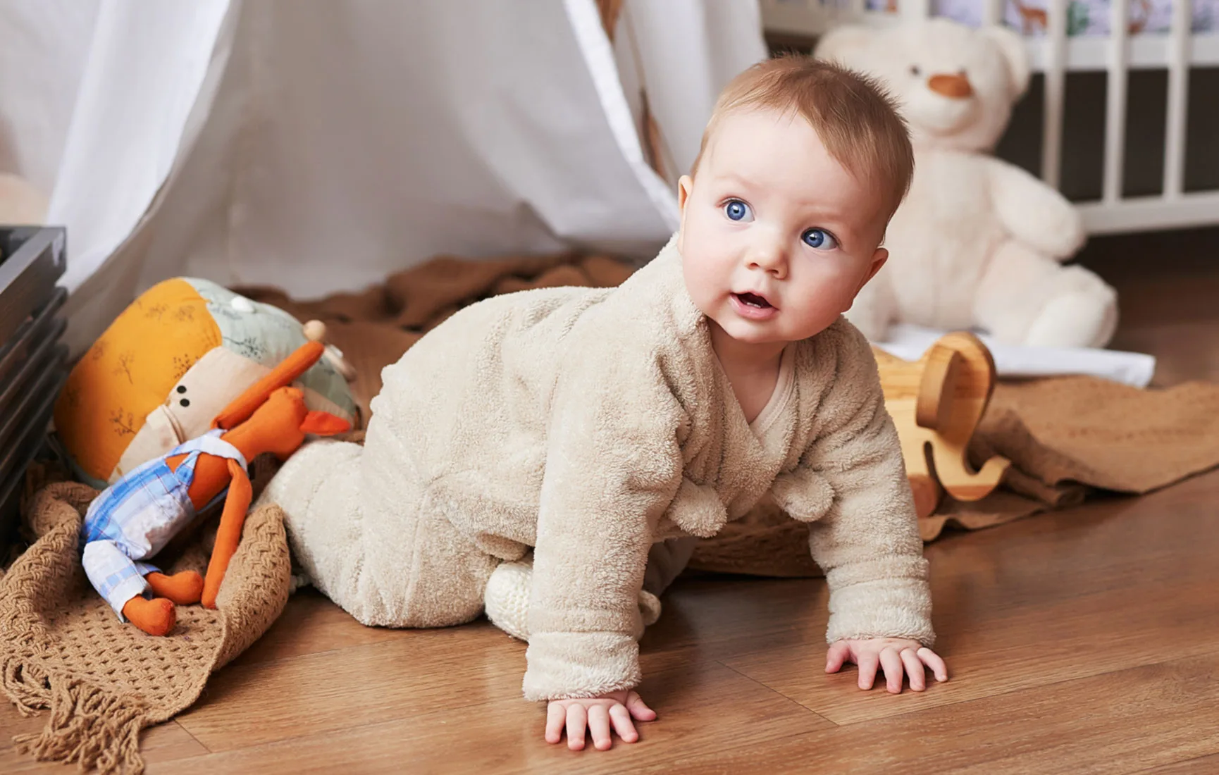 Ollie Bebe - Review