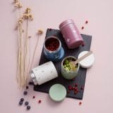Fresk: Θερμός από ανοξείδωτο ατσάλι φαγητού 300ml - Berries - Image 2