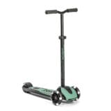 [96438] Highwaykick 5 LED (forest)