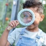 LITTLE DUTCH. Ξύλινος μεγεθυντικός φακός Forest Friends FSC - Image 3