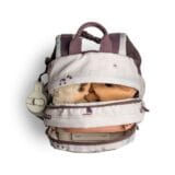 Citron Medium Vehicles / Τσάντα Πλάτης - Back Pack - Image 6