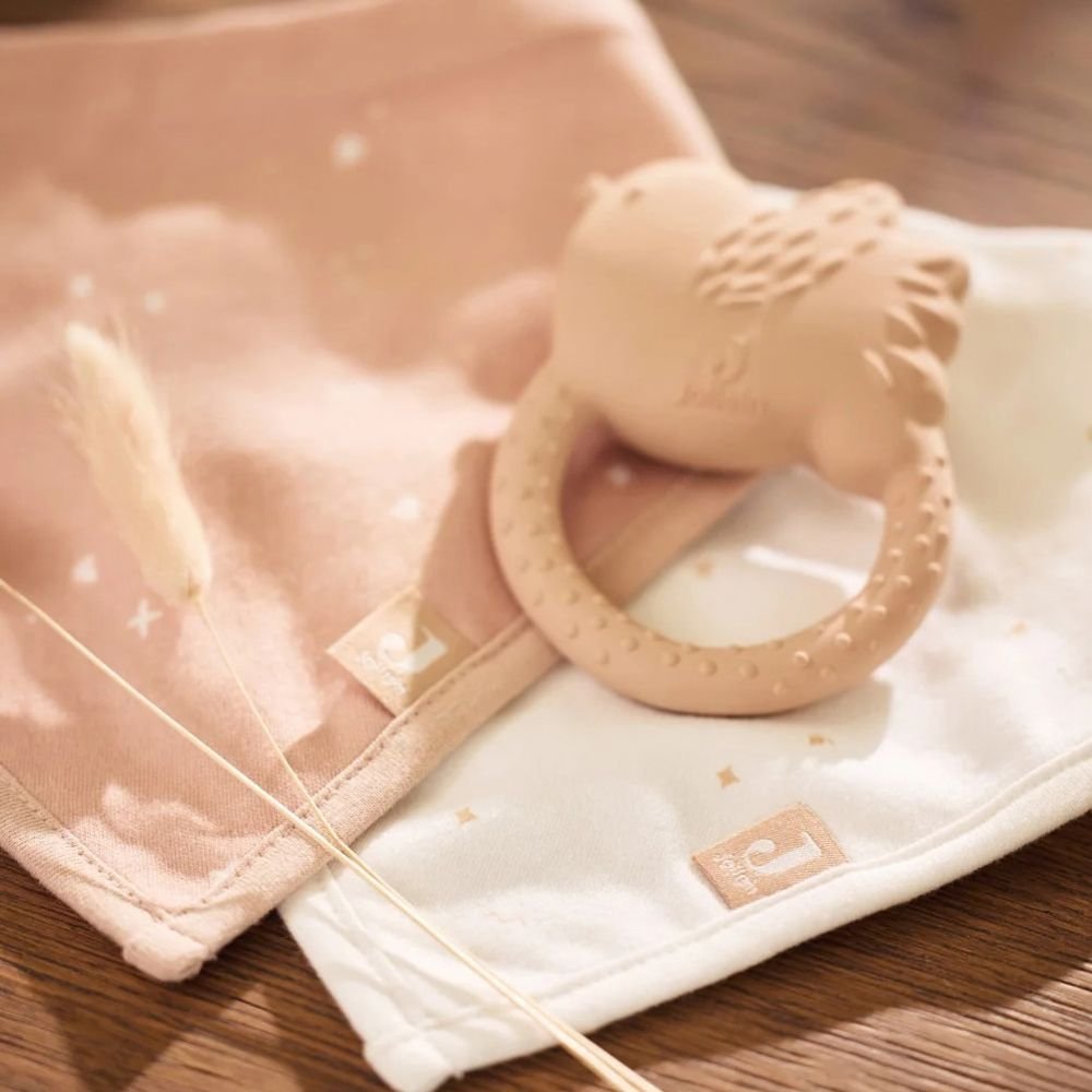 Jollein. Bib Bandana Twinkling / Σαλιάρα – Wild Rose – 2 Τεμάχια - Image 3